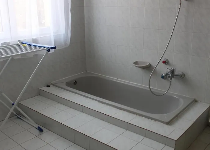 Orwa Vendeghaz * ザラカロシュ