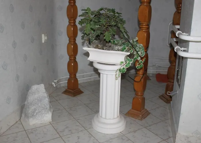 Orwa Vendeghaz * ザラカロシュ